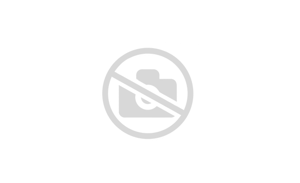 Бугель для стантрайдинга BSE